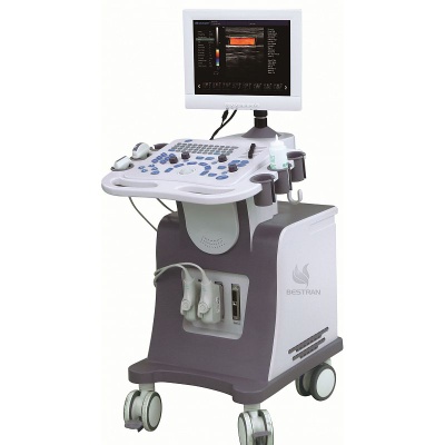 2D Ultrasound Diagnostic System