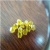 Synthetic Rough Yellow Diamond Manufacturing Price Per Carat