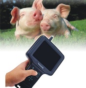 Vet Ultrasound Scanner for Swine/Sow(So-Scan)