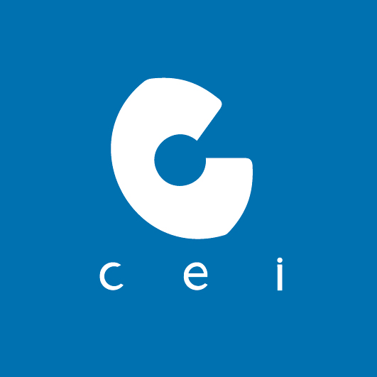 CEI Technology Inc.