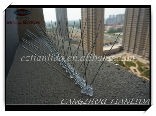 High quality stainless steel Bird spike/bird deterrent