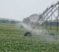 hot saling electric round sprinkler irrigation system price/center pivot irrigation equipment for sale