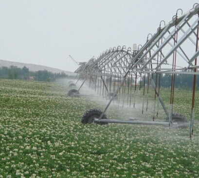 linear center pivot sprinkler irrigation system