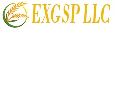 EXGSP LLC