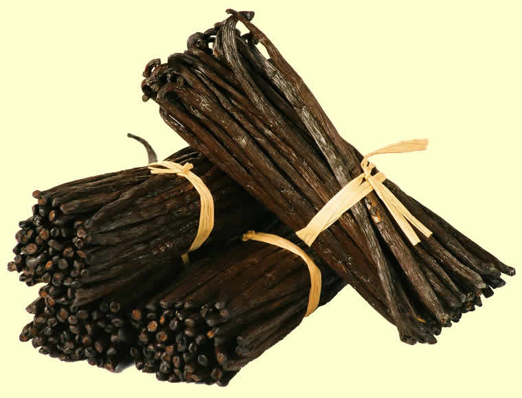 Vanilla beans of best grade