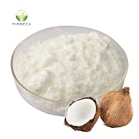 Organic Instant Coconut Powder
