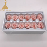12 roses heads per box