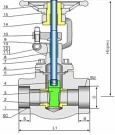 Compact Forged Steel Valve