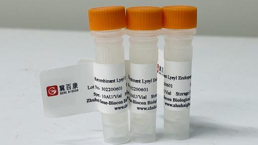 Recombinant Lysyl Endopeptidase which Production of biological products, such as insulin and analog production
