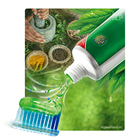Herbal Toothpaste Manufacturers, Toothpaste Suppliers, Herbal Toothpaste in India, Toothpaste Manufacturing Companies, Third Party Manufacturing Company.