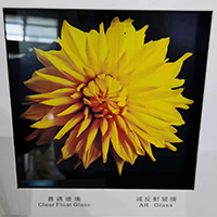 The comparison of Using AR glass and clear float glass to see the same picture