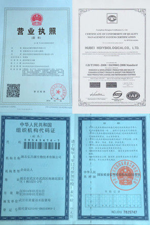 Hubei Holy Biological Co., Ltd