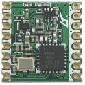 RF Transceiver COB Module