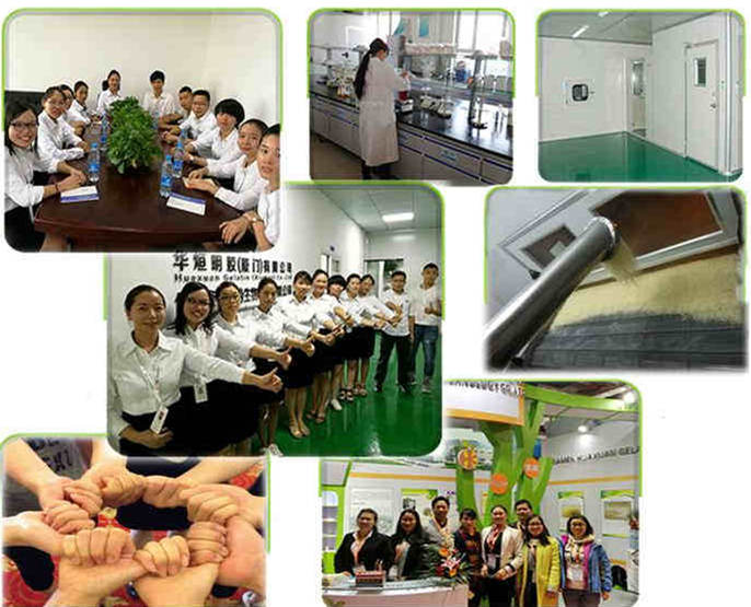 Xiamen Huaxuan Gelatin Co.,Ltd