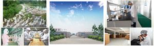 Shandong Luscious Pet Food Co.,Ltd