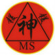 Hebei Meishen Chemical Technology Group Co.,Ltd