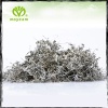 Organic finest keep fit tea leaves famous Moyeam herbal tea