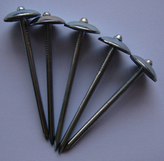 roofing nail