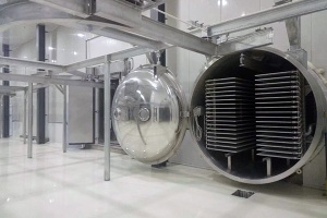 Commercial and industrial food freeze drying machines for sale