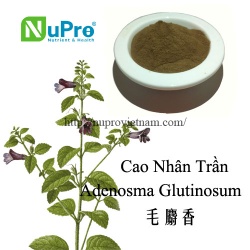 Adenosma glutinosum extract
