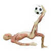 Kicking Football Human Body Plastinated Specimen