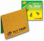 Fly Trap Paper