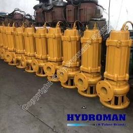 Hydroman™ TWQ Submersible Sewage Pumps