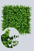 PE MID Eucalyptus Hedge Panel Artificial Plant for Decoration (50961)