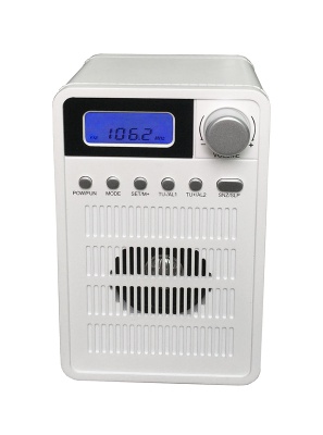 AM/FM PLL Portable radio - FSD-8099