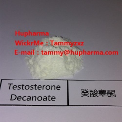 Hupharma Testosterone Decanoate injectable steroids Powder