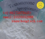 Testosterone Phenylpropionate - 1255-49-8