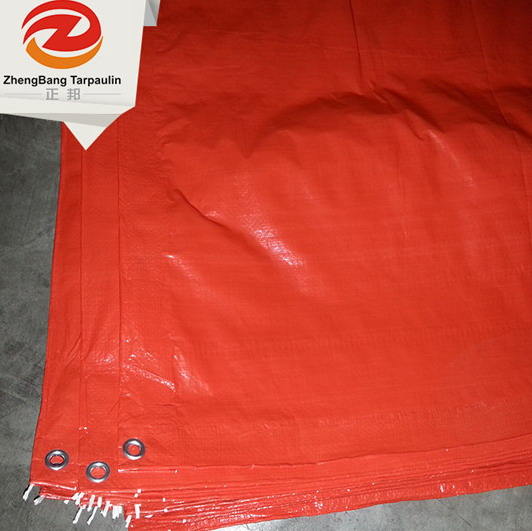PE tarpaulin sheet|Shandong ZhengBang Plastic Products Co.,LTD