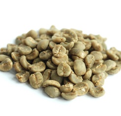 Supply Green Coffee Bean Extract Powder 50%