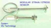 Modular Strain / Stress Sensor