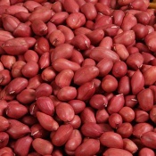 Red Skin Peanuts