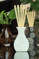 Ceramic reed diffuser