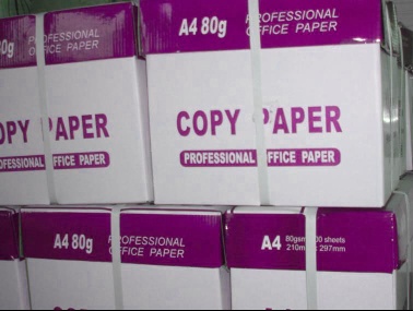 School and Office A4 Printing Paper