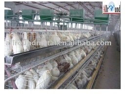 Chicken Cages(factory)