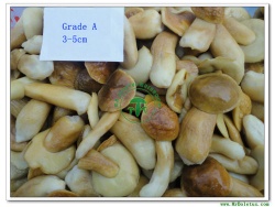 Boletus Edulis in brine Whole Mushroom Grade A(2-3CM) 141106