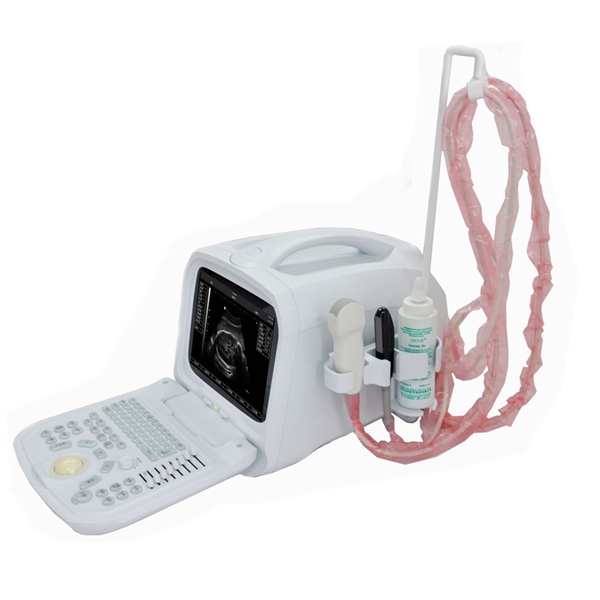 Veterinary ultrasound scanner