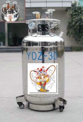 30L Self-Pressurizing Liquid Nitrogen Cylinder - YDZ-30