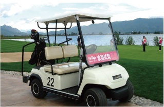 2 Seats Club Golf Cart, Club Car