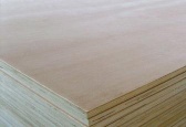 poplar construction plywood