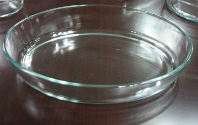 oven safe glass baking dish plate
