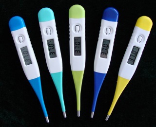 ECT-3 Digital Thermometer (soft and can bended) - ECT-3