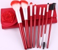 Professional Makeup Brush Set - EYP-DYR008