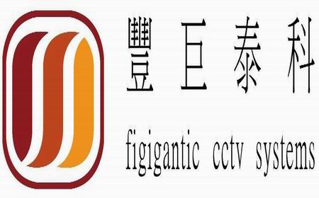 Figigantic CCTV systems