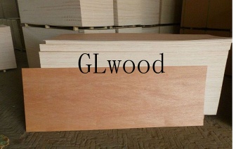 Door size plywood(door skin)