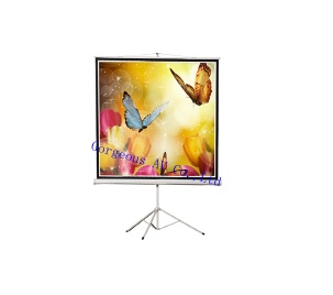 Tripod Screen,projection screen for Business Education