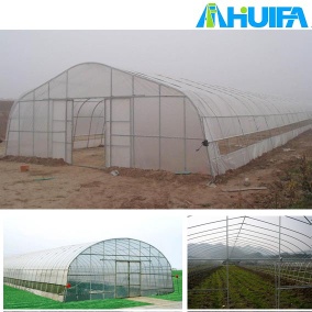 Agricultural Tunnel Greenhouse